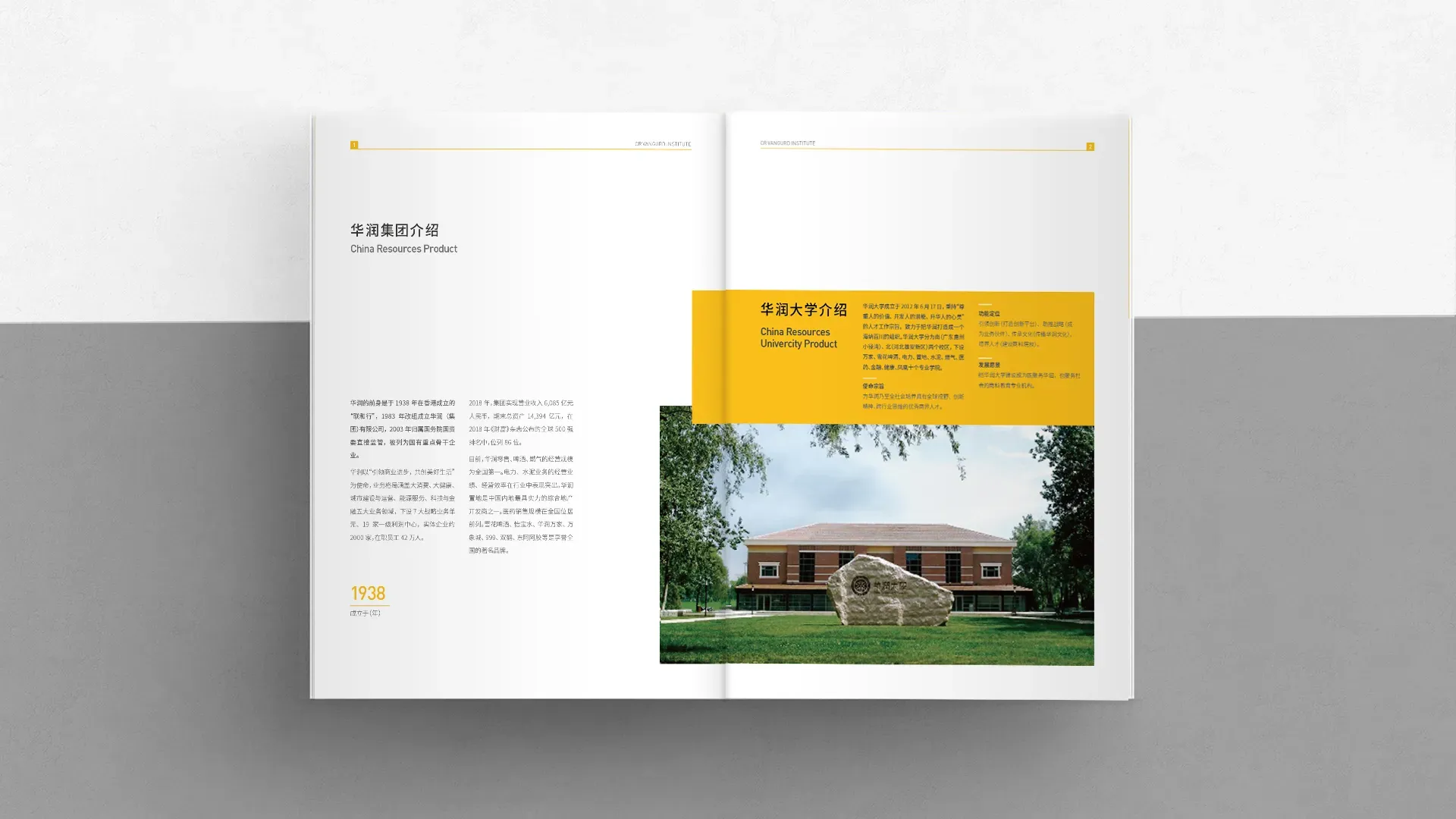 10.webp
