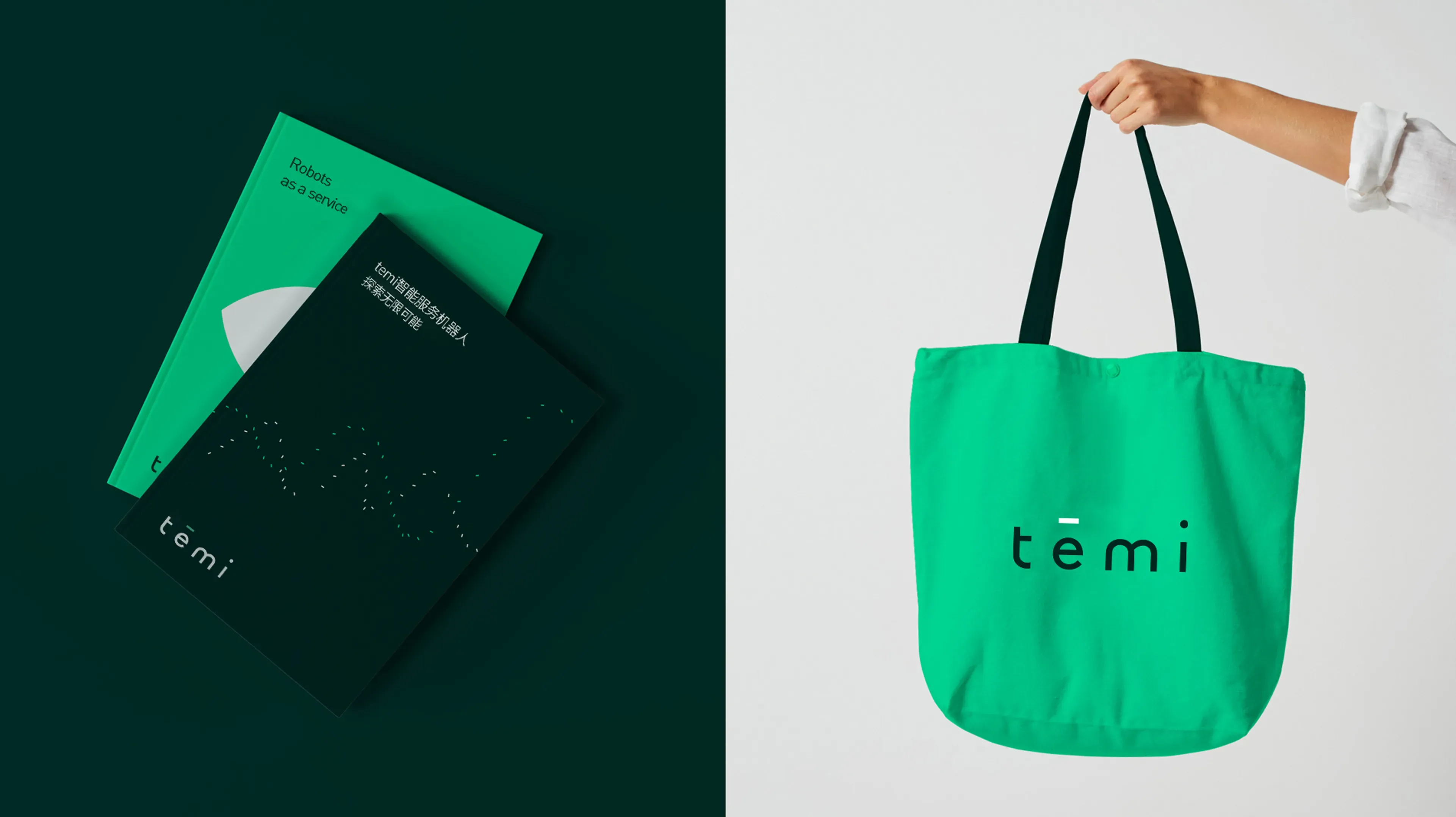 temi智能服务机器人 市场招商物料设计_品牌视觉延展